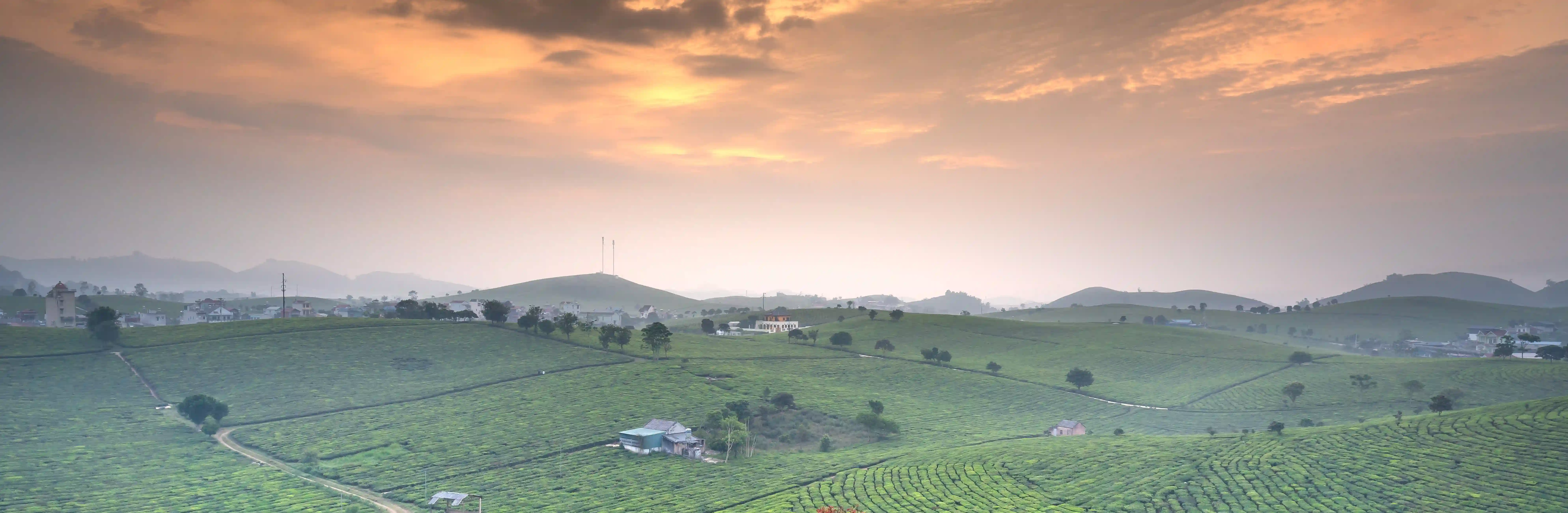 kerala-tour-packages